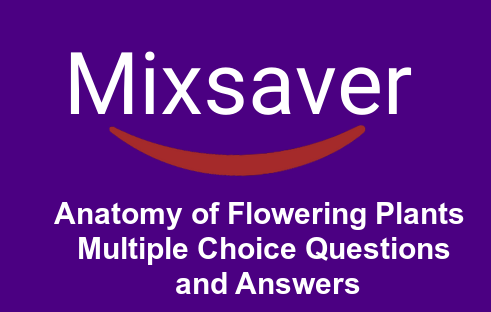 Anatomy of Flowering Plants Multiple Choice Questions