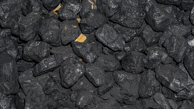 What is a carbon sink