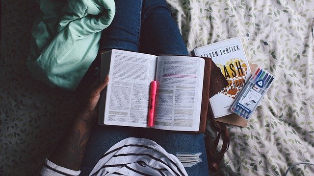 HOW TO COMPLETE SYLLABUS OF WHOLE YEAR IN JUST 28 DAYS ?