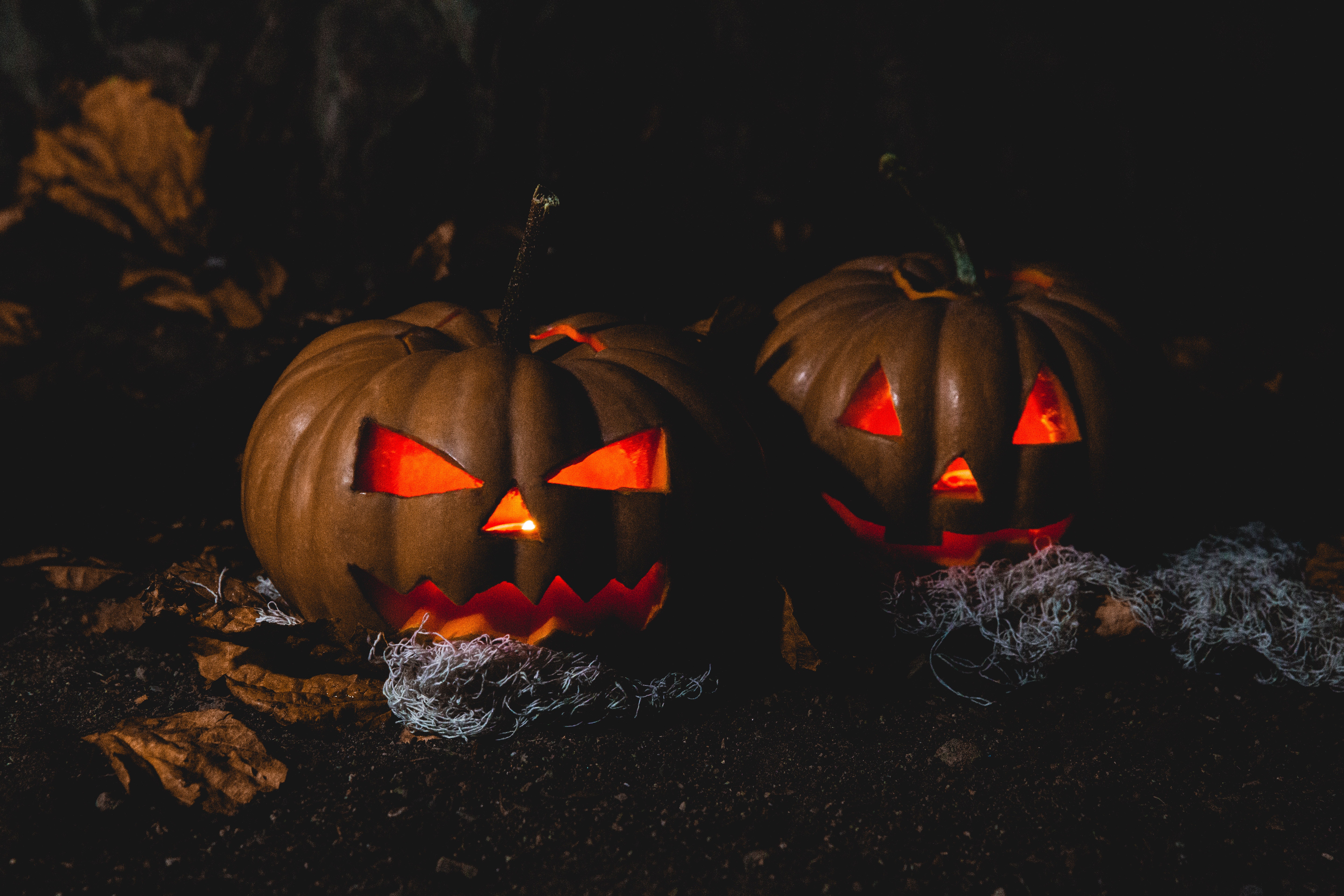 Halloween 2023: Fun and Scary Activities for All Ages