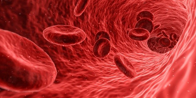 what is blood urea nitrogen