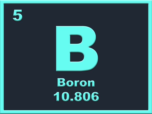 How do boron 10 and boron 11 differ