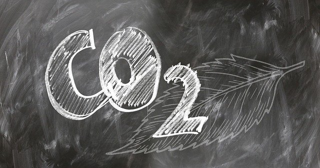 How many bonds can carbon form