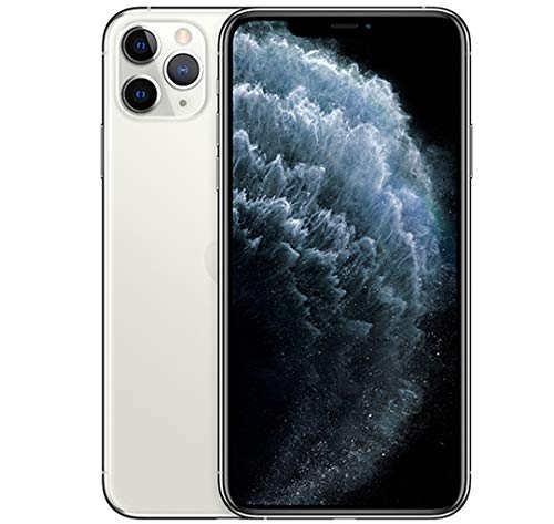 Generic GoPhone 11max 512GB Sliver Unlocked Phone.