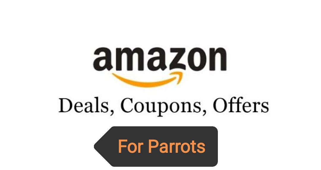 double yellow head amazon parrot for sale.
