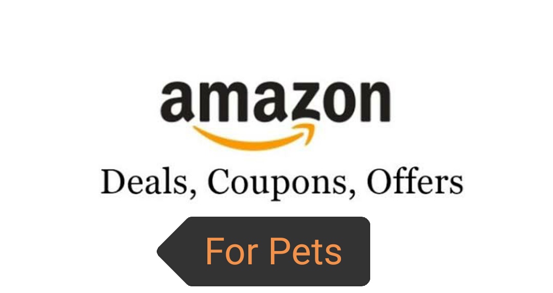 amazon parrot for sale.
