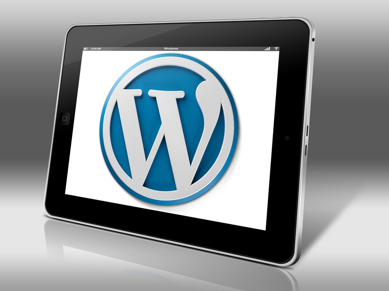 WordPress Website Development.